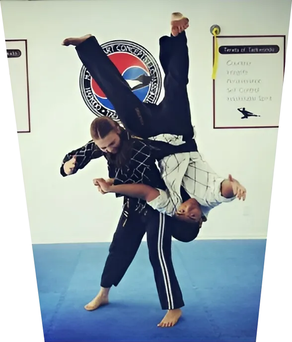 Martial Arts Concepts