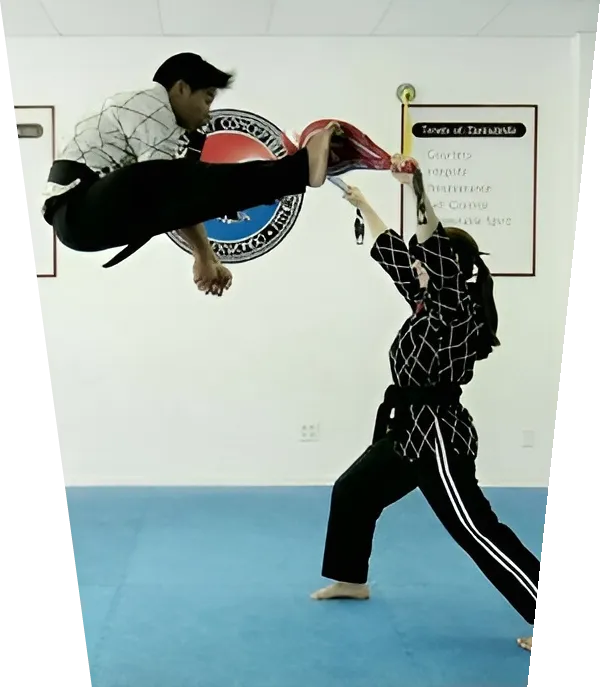 Martial Arts Concepts