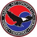 Martial Arts Concepts