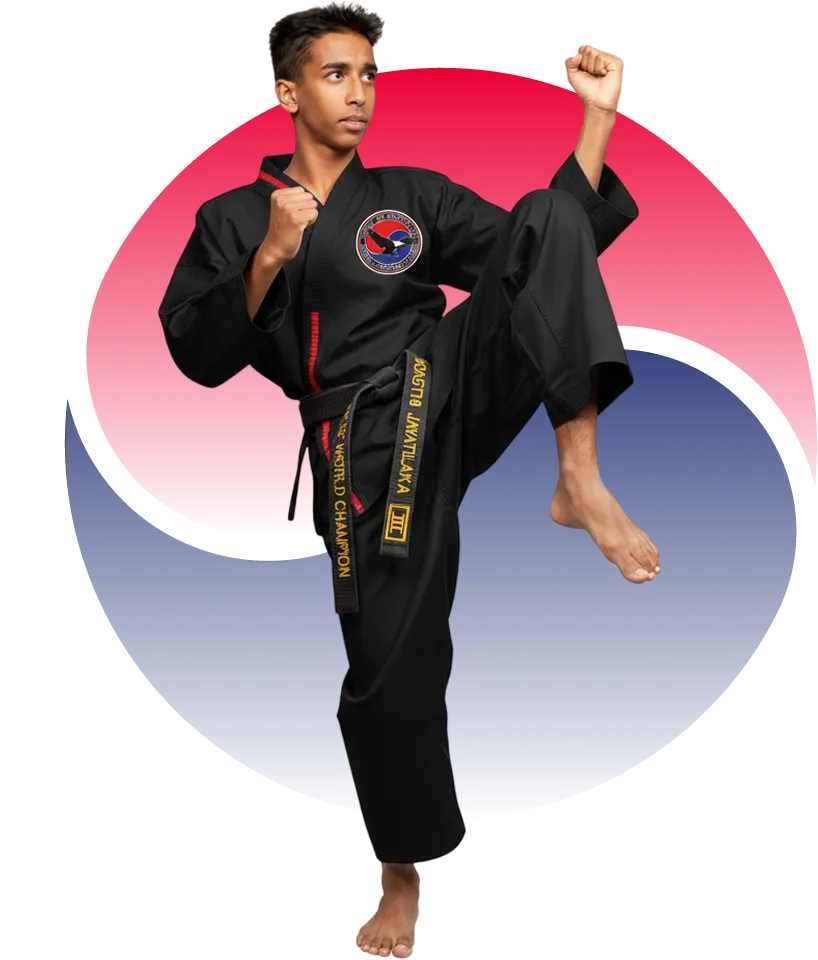 Martial Arts Concepts